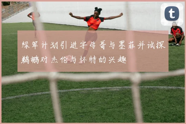 绿军计划引进字母哥与墨菲并试探鹈鹕对杰伦与怀特的兴趣