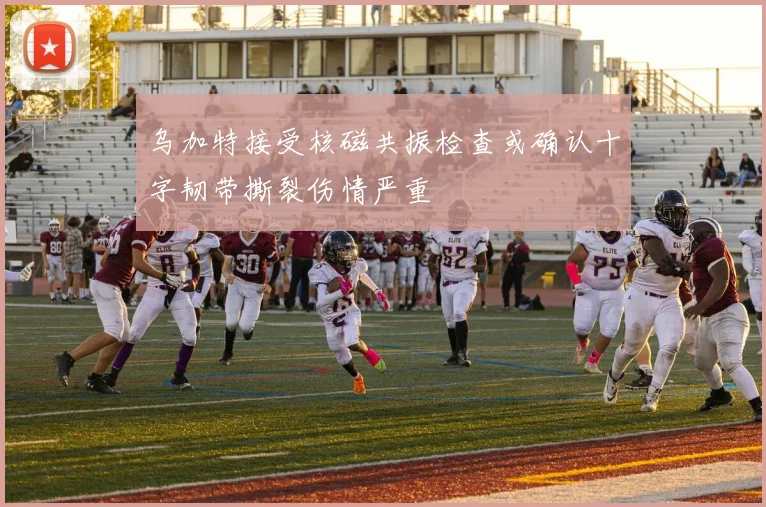乌加特接受核磁共振检查或确认十字韧带撕裂伤情严重