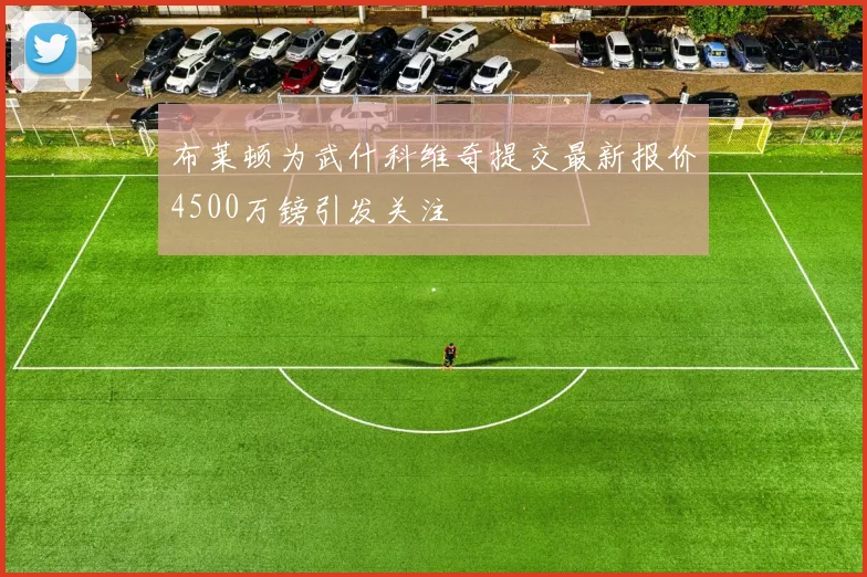 布莱顿为武什科维奇提交最新报价4500万镑引发关注