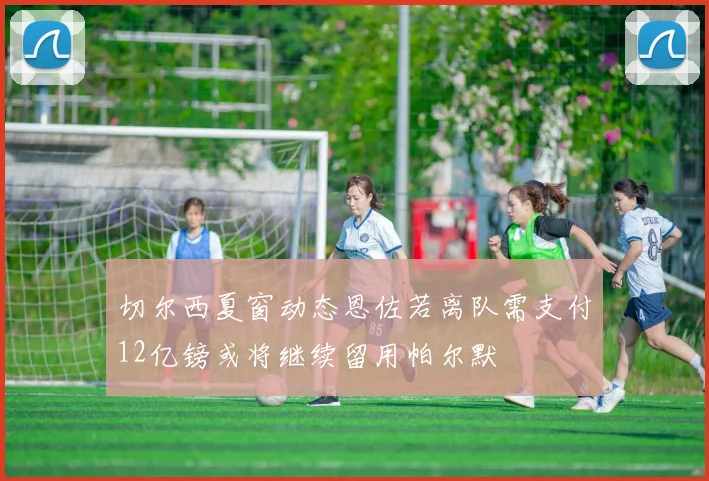 切尔西夏窗动态恩佐若离队需支付12亿镑或将继续留用帕尔默