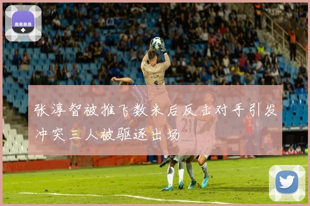 张淳智被推飞数米后反击对手引发冲突三人被驱逐出场