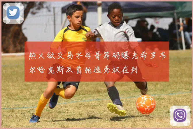 热火欲交易字母哥筹码曝光希罗韦尔哈克斯及首轮选秀权在列