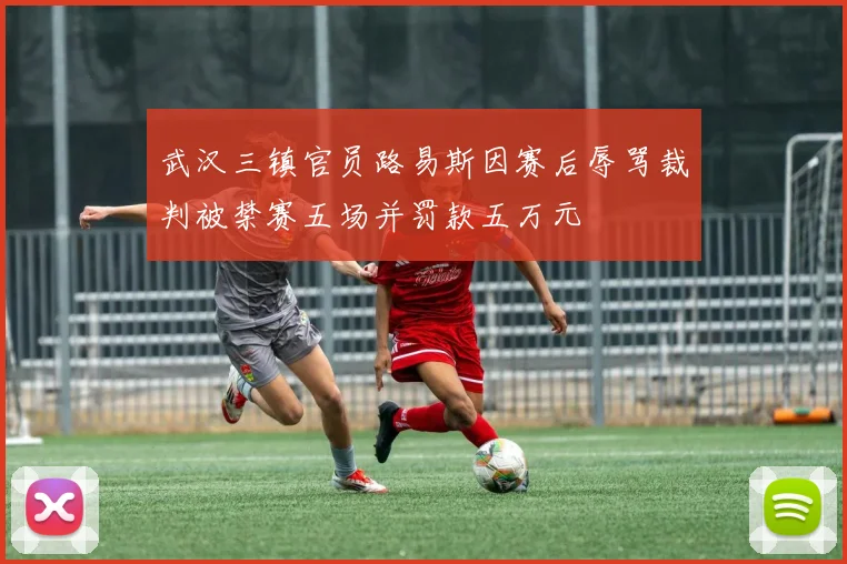武汉三镇官员路易斯因赛后辱骂裁判被禁赛五场并罚款五万元